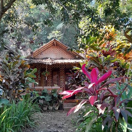 Anik Homestay & Dormy Batukaras Buitenkant foto