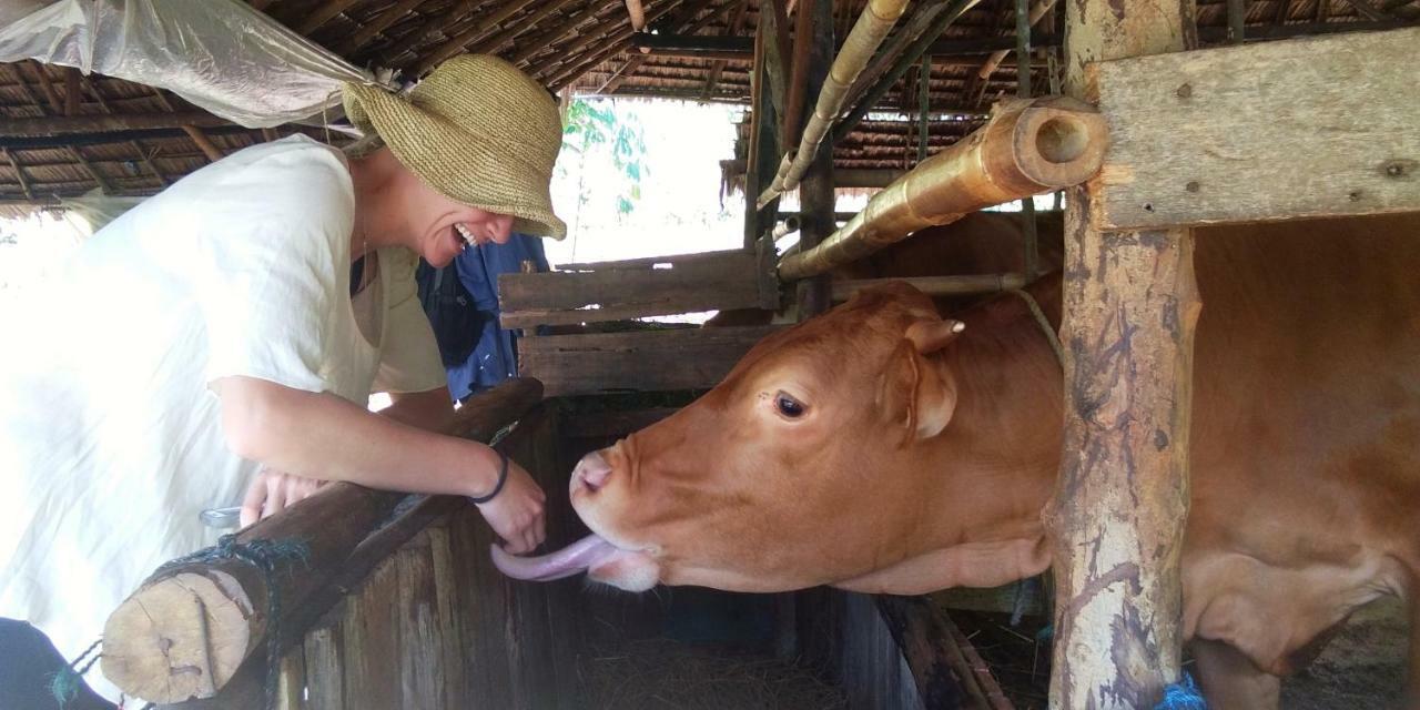 Anik Homestay & Dormy Batukaras Buitenkant foto